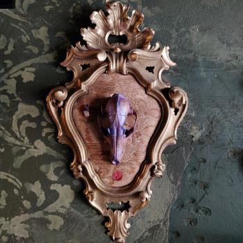 AMETHYST / Installazione Con Teschio di Volpe