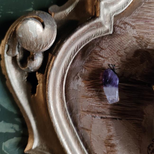 AMETHYST / Installazione Con Teschio di Volpe - 5