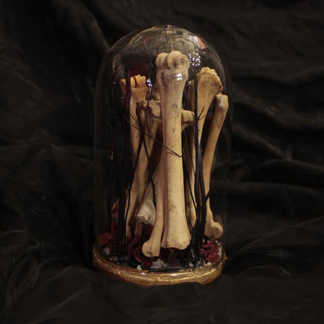 Ossarium / Installazione Con Ossa Di Animale - 1