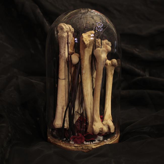 Ossarium / Installazione Con Ossa Di Animale - 2