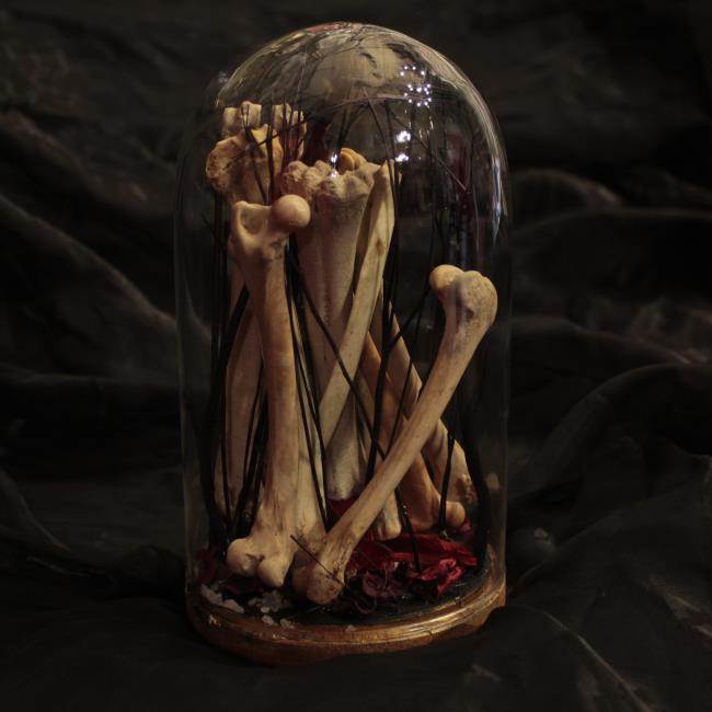 Ossarium / Installazione Con Ossa Di Animale - 4